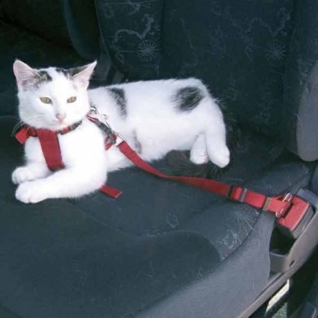 Harnais de sécurité voiture pour chat réf. 1294 Trixie - Feu Vert