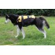 GILET DE SAUVETAGE EZYDOG - 6 tailles