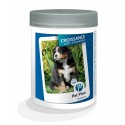 PETPHOS CROISSANCE GRAND CHIEN - 100 cps