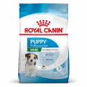 RC DOG PUPPY MINI - 2 ou 4 kg