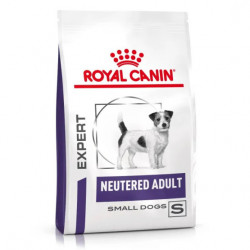 NEUTERED ADULT SMALL DOG