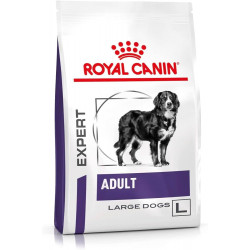 ADULT LARGE DOG