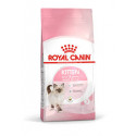 RC KITTEN - 2 ou 4 kg