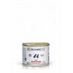 RECOVERY - bte de 195 gr